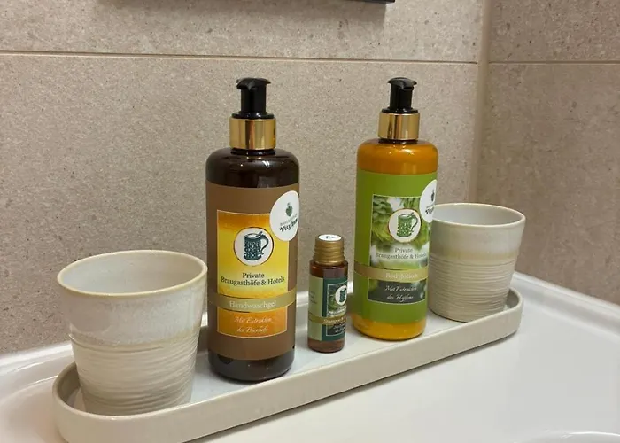 Brauhotel Vitzthum 3*